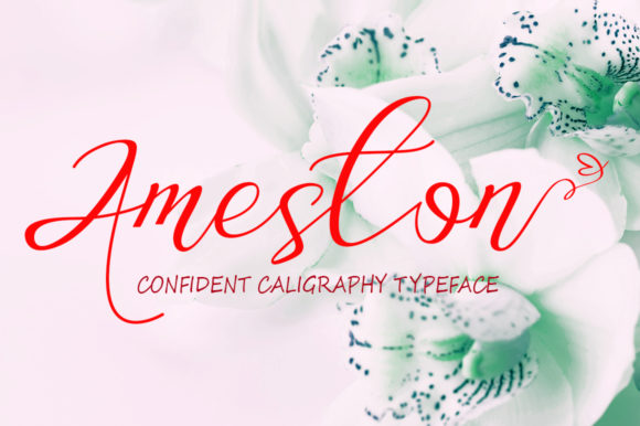 Ameston: A Beautiful Script Font for Crafters