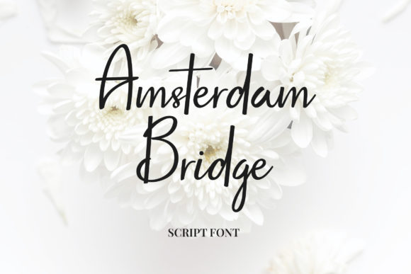 Amsterdam Bridge: A Elegant Script Font
