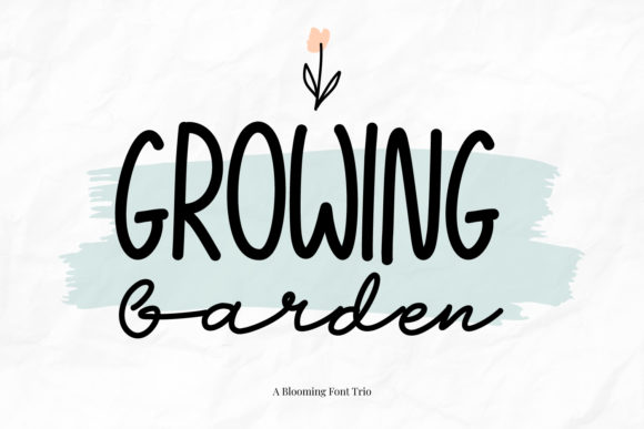 Handwritten Elegance in Type