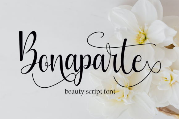 Script Font for Brand Campaigns
