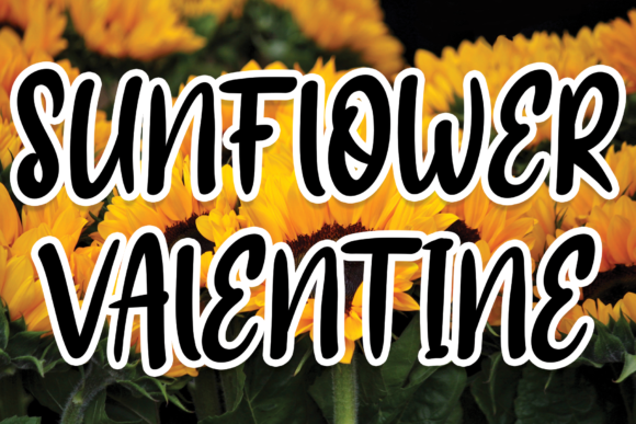 Sunflower Valentine Font Review